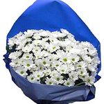 Букеты из ромашек