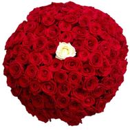 101 red rose with one white