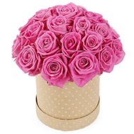 25 розовых роз в коробке