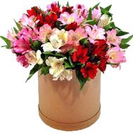 Альстромерии в коробке