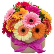 Герберы в коробке