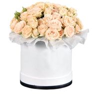 Кремовые кустовые розы в коробке