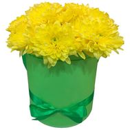 Желтые хризантемы в коробке