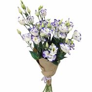 Букет бело-фиолетовых эустом