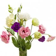 Маленький букет эустом