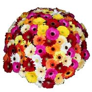 Букет из 101 герберы