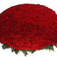 Огромный букет цветов из 1001 красной розы