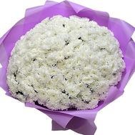 Букет из 101 белой хризантемы