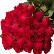 Bouquet of 25 meters imported roses