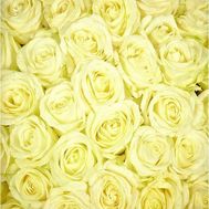 Щоб вибрати кількість троянд натисніть на фото