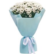 Bouquet of flowers with 11 chamomile chrysanthemums