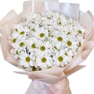 Bouquet of flowers 9 chamomile chrysanthemums