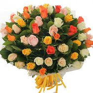 51 multicolored rose