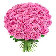 41 розовая роза