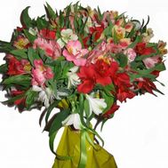 Букет цветов из 19 альстромерий
