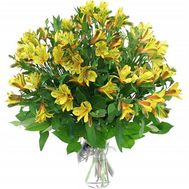 Букет цветов из 9 альстромерий