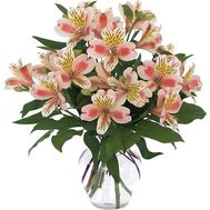 Букет из 9 альстромерий