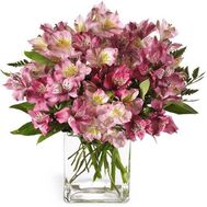 Букет цветов из 17 альстромерий