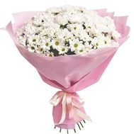 Букет цветов 15 ромашек (ромашковидных хризантем)