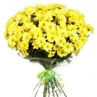 Bouquet of flowers from 13 chrysanthemums