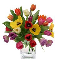 Букет из 25 разноцветных тюльпанов