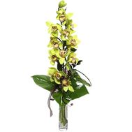 A bunch of orchid flowers