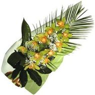 A bunch of orchid flowers