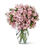 Букет цветов из 13 альстромерий