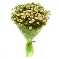 Букет из 19 роз-спрей