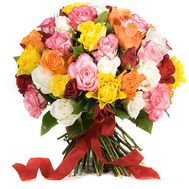 41 разноцветная роза