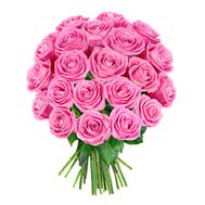 23 pink roses