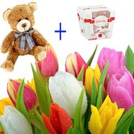 17 тюльпанов, мишка и конфеты