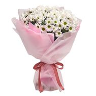 A bouquet of 11 chamomile chrysanthemums