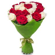 23 white and red roses