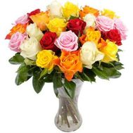 21 multicolored rose