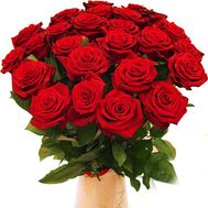 25 red roses