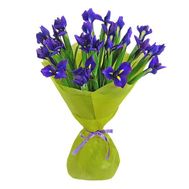 A bunch of 21 blue irises