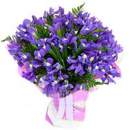 A bunch of 35 blue irises