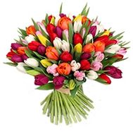 Букет из 101 разноцветного тюльпана