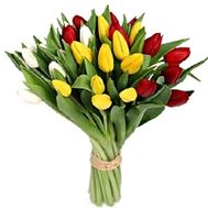 Букет из 27 разноцветных тюльпанов