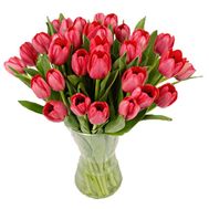 Букет из 35 красных тюльпанов