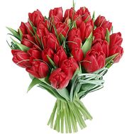 Букет из 33 красных тюльпанов