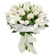 Букет из 35 белых тюльпанов