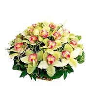 Basket of flowers from 19 orchids