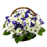 Basket of flowers from 13 chrysanthemums and irises
