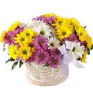 Basket of flowers from 11 chrysanthemums
