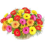 Basket of flowers from 25 gerberas