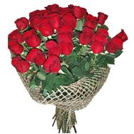25 red import roses