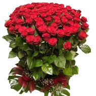 A large bouquet of 101 red roses