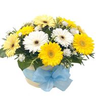 Basket of flowers from 12 gerberas and 1 chrysanthemum